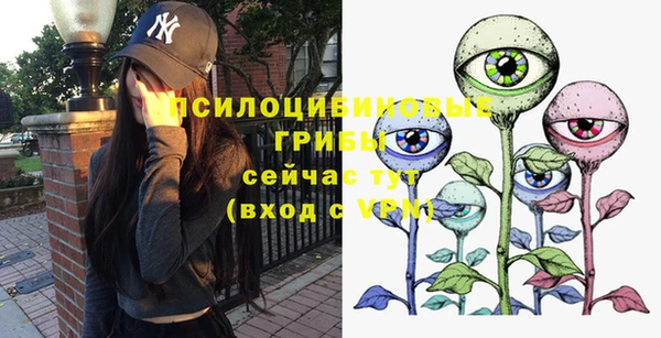 МДПВ Алзамай