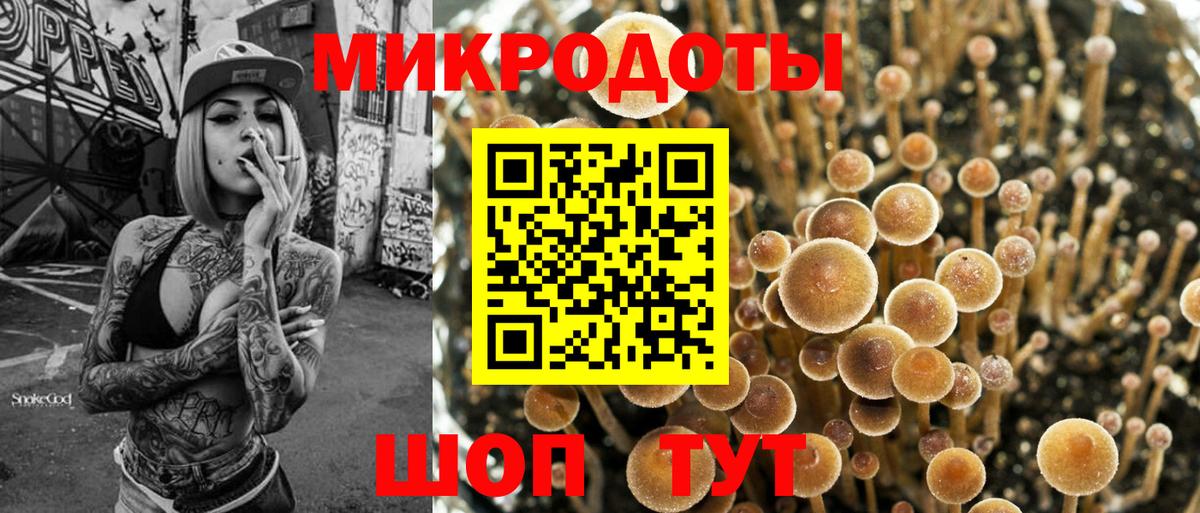 Карасук  Псилоцибиновые грибы Psilocybe  Галлюциногенные грибы мицелий  Вход с VPN 